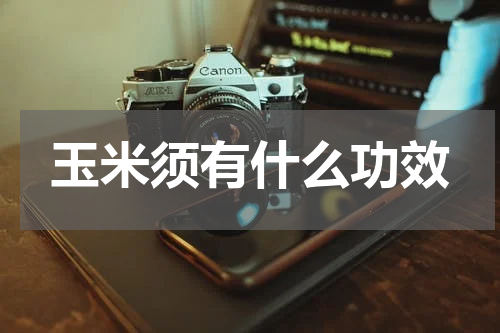 玉米须有什么功效