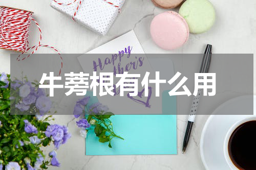 牛蒡根有什么用