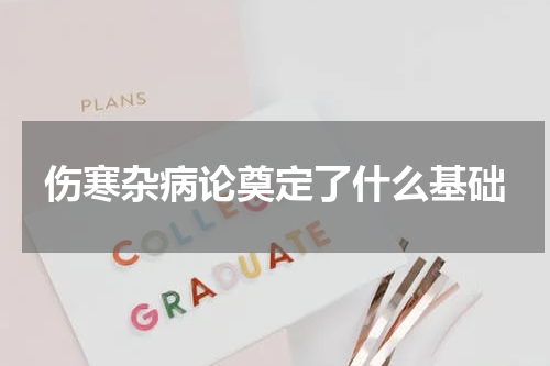 伤寒杂病论奠定了什么基础