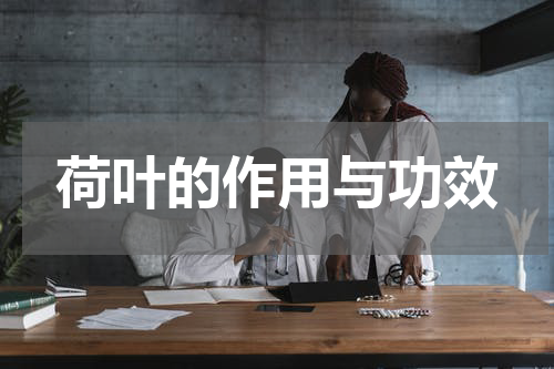 荷叶的作用与功效