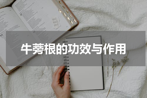 牛蒡根的功效与作用