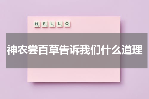 神农尝百草告诉我们什么道理