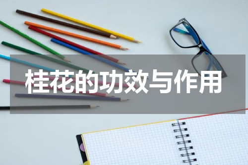 桂花的功效与作用