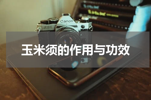 玉米须的作用与功效