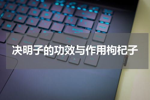 决明子的功效与作用枸杞子