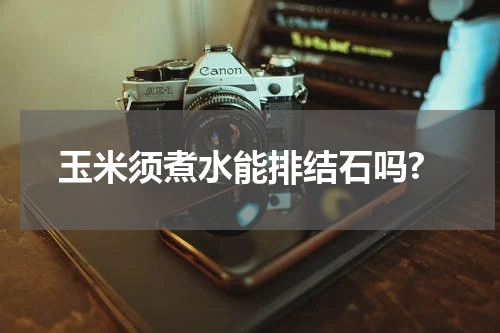 玉米须煮水能排结石吗?
