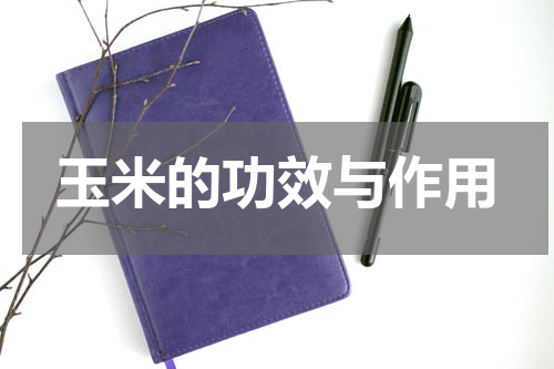 玉米的功效与作用