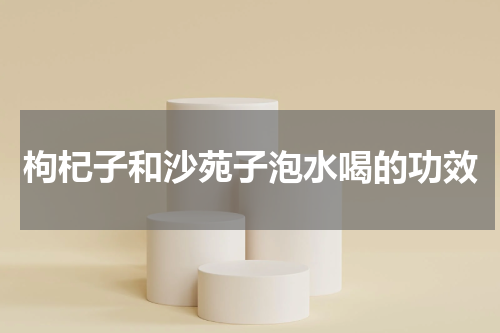 枸杞子和沙苑子泡水喝的功效