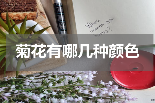 菊花有哪几种颜色