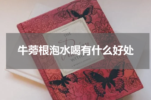 牛蒡根泡水喝有什么好处