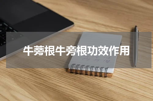 牛蒡根牛旁根功效作用