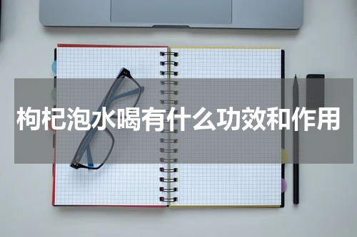 枸杞泡水喝有什么功效和作用