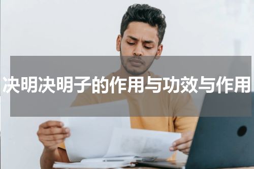 决明决明子的作用与功效与作用