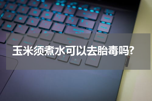 玉米须煮水可以去胎毒吗?