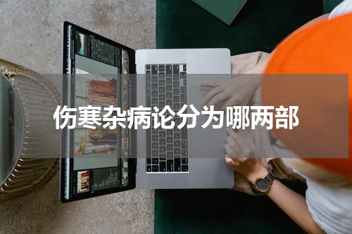 伤寒杂病论分为哪两部