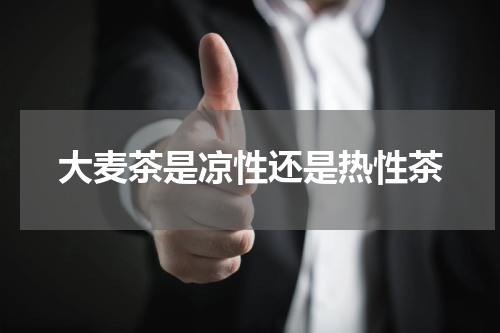 大麦茶是凉性还是热性茶