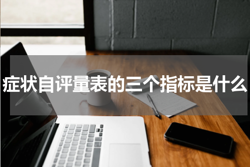 症状自评量表的三个指标是什么