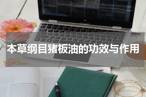 本草纲目猪板油的功效与作用