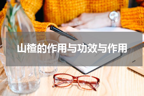 山楂的作用与功效与作用