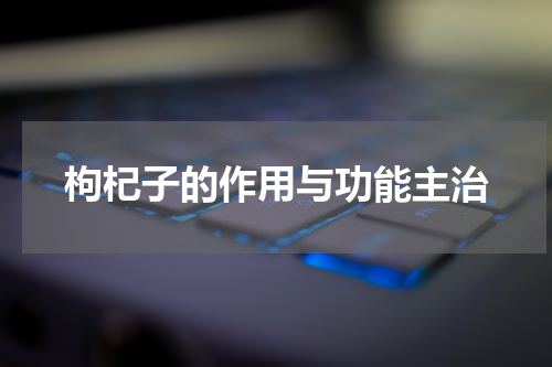 枸杞子的作用与功能主治