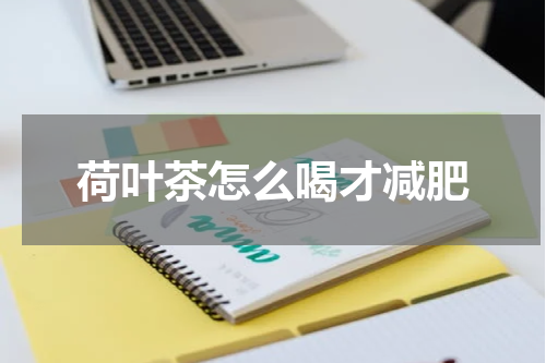荷叶茶怎么喝才减肥