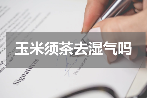 玉米须茶去湿气吗
