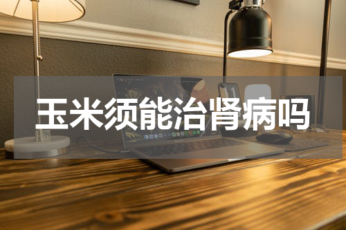 玉米须能治肾病吗