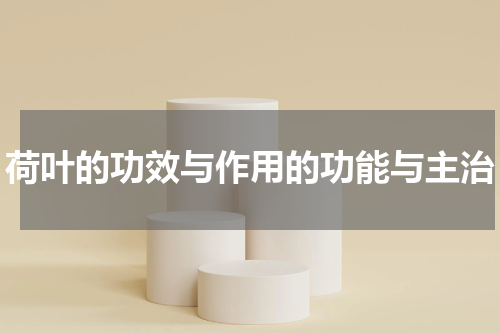 荷叶的功效与作用的功能与主治
