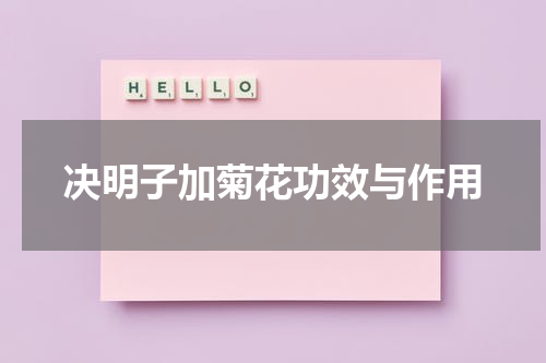 决明子加菊花功效与作用