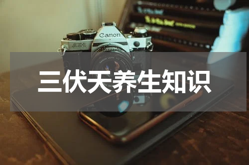 三伏天养生知识
