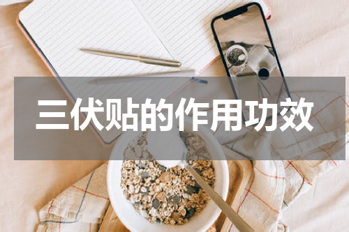 三伏贴的作用功效