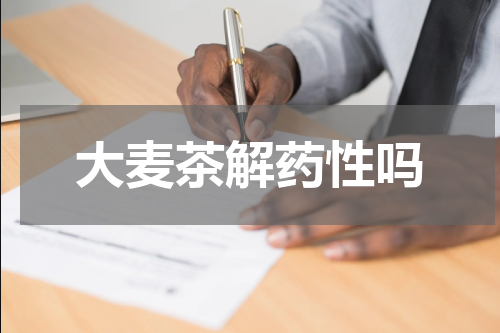 大麦茶解药性吗