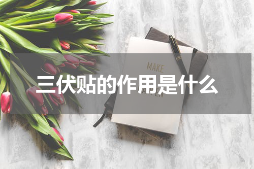 三伏贴的作用是什么