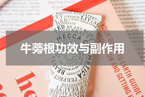 牛蒡根功效与副作用