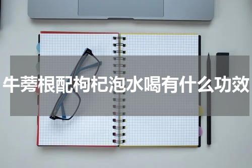 牛蒡根配枸杞泡水喝有什么功效