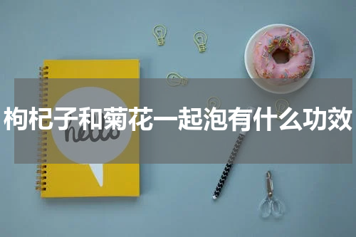 枸杞子和菊花一起泡有什么功效
