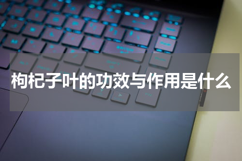 枸杞子叶的功效与作用是什么