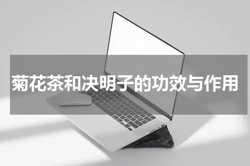菊花茶和决明子的功效与作用