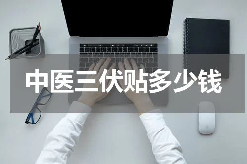 中医三伏贴多少钱