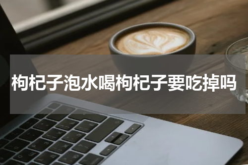 枸杞子泡水喝枸杞子要吃掉吗