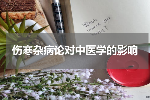 伤寒杂病论对中医学的影响