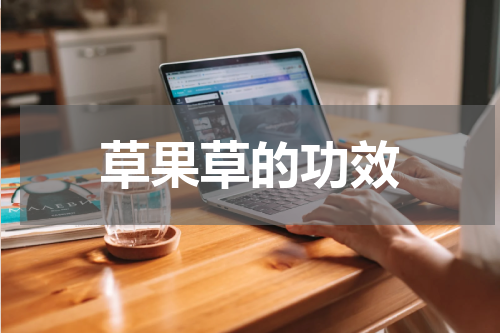 草果草的功效