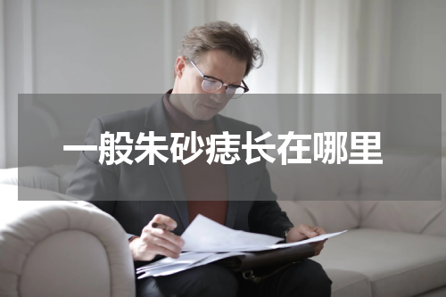 一般朱砂痣长在哪里