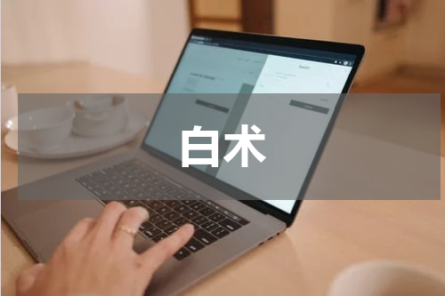 白术