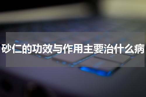砂仁的功效与作用主要治什么病
