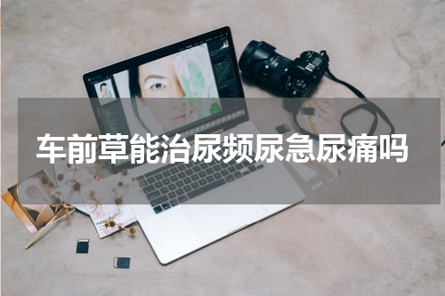 车前草能治尿频尿急尿痛吗