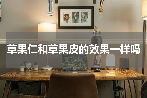 草果仁和草果皮的效果一样吗