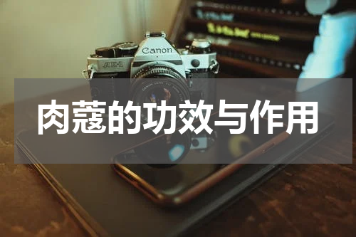 肉蔻的功效与作用