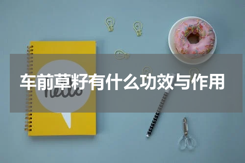 车前草籽有什么功效与作用