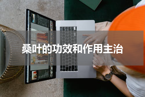 桑叶的功效和作用主治